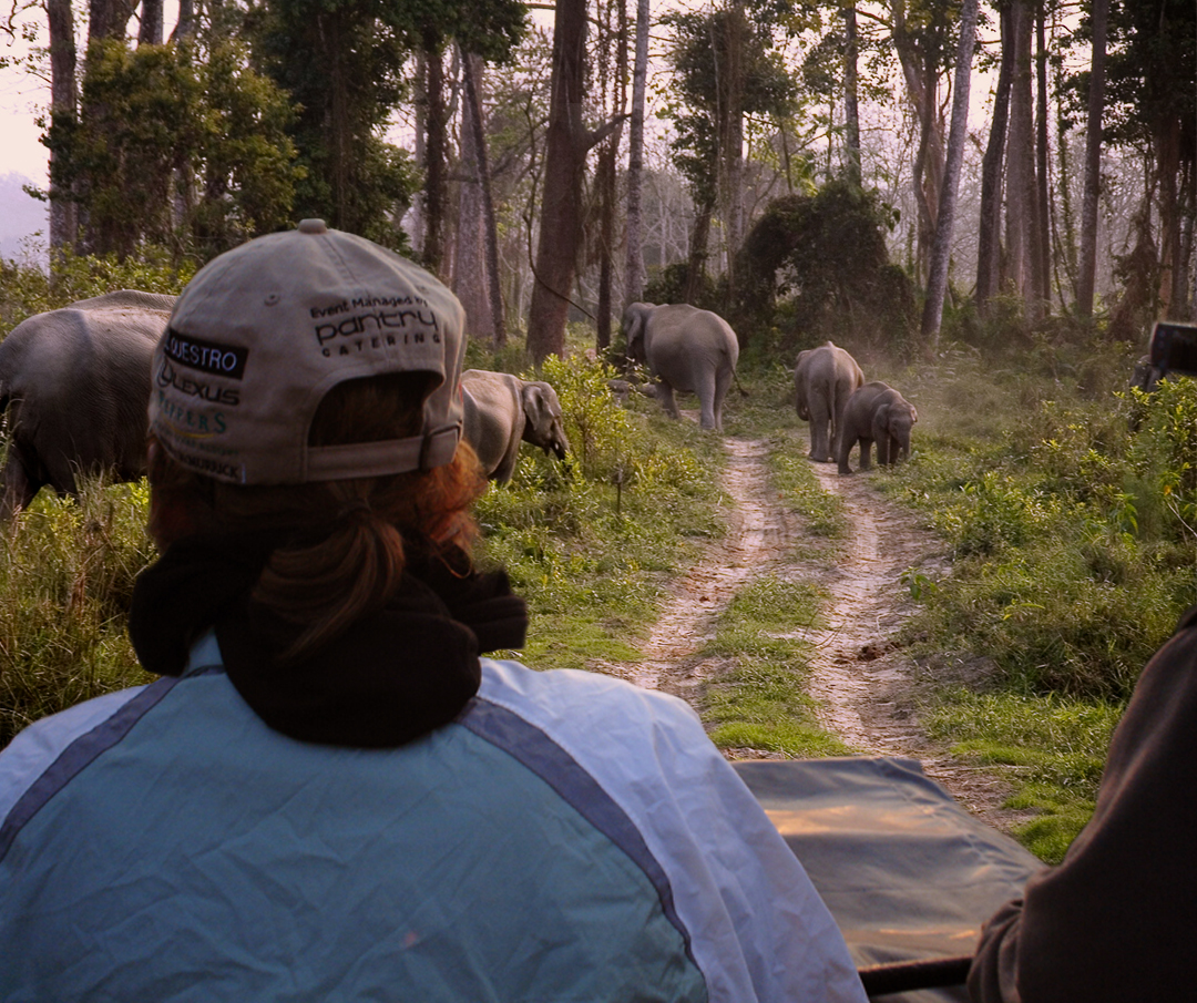 Bandhavgarh Fun Tour with 2 Gypsy Safari (1N/2D)